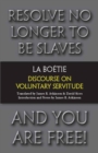Image for Discourse on voluntary servitude