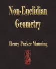Image for Non-Euclidian Geometry