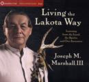 Image for Living the Lakota Way