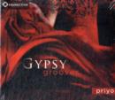 Image for Gypsy Grooves