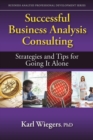 Image for Successful Business Analysis Consulting : Strategies and Tips for Going It Alone