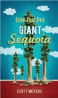 Image for Grow Your Own Giant Sequoia