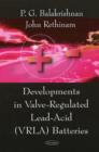 Image for Developments in Valve-Regulated Lead-Acid (VRLA) Batteries