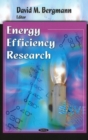 Image for Energy Efficiency Research