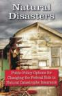 Image for Natural disasters  : public policy options for changing the federal role in natural catastrophe insurance