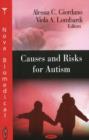 Image for Causes &amp; Risks for Autism