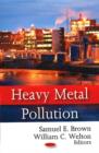 Image for Heavy Metal Pollution