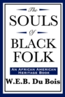 Image for The Souls of Black Folk (An African American Heritage Book)