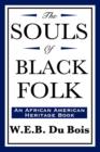 Image for The Souls of Black Folk (an African American Heritage Book)