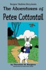 Image for The Adventures of Peter Cottontail