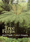 Image for Tree Ferns