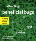 Image for Attracting beneficial bugs to your garden: a natural approach to pest control