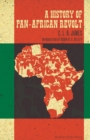 Image for A History of Pan-African Revolt