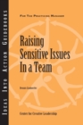 Image for Raising sensitive issues in a team