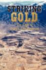 Image for Striking Gold : The Saga of Ordrich Gold Reserves