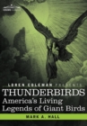 Image for Thunderbirds