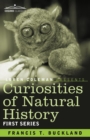 Image for Curiosities of Natural History, in Four Volumes