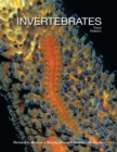 Image for Invertebrates