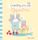 Image for Learning with Skip. Opposites