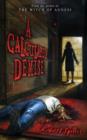 Image for A Calculated Demise: Book Two in the Bonnie Pinkwater Series