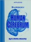 Image for Surgery of the Human Cerebrum