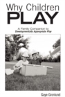 Image for Why Children Play : A Family Companion to Developmentally Appropriate Play