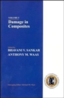 Image for Damage in Composites