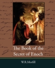 Image for The Book of the Secret of Enoch