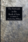Image for The Participle in the Book of Acts