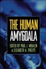 Image for The Human Amygdala