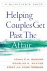Image for Helping couples get past the affair  : a clinician&#39;s guide