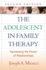 Image for The adolescent in family therapy  : harnessing the power of relationships