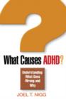 Image for What causes ADHD?  : understanding what goes wrong and why