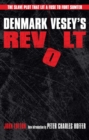 Image for Denmark Vesey&#39;s Revolt : The Slave Plot That Lit a Fuse to Fort Sumter