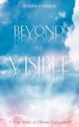 Image for Beyond the Visible