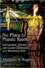 Image for No Place for Plastic Saints