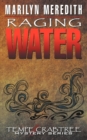 Image for Raging Water
