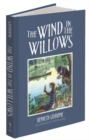 Image for The wind in the willows