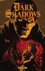 Image for Dark Shadows Volume 2