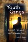 Image for Youth gangs  : causes, violence and interventions