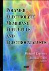 Image for Polymer Electrolyte Membrane Fuel Cells &amp; Electrocatalysts