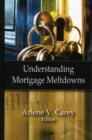 Image for Understanding Mortgage Meltdowns