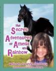 Image for The Secret Adventures of Amelia and Rainbow