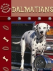 Image for Dalmatians