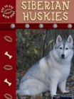 Image for Siberian huskies