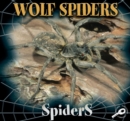 Image for Wolf spiders