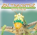 Image for Saltamontes: Katydids