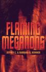 Image for Flaming Meganons