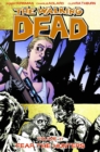 Image for The Walking Dead Volume 11: Fear The Hunters