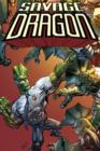 Image for Savage Dragon: Dragon War